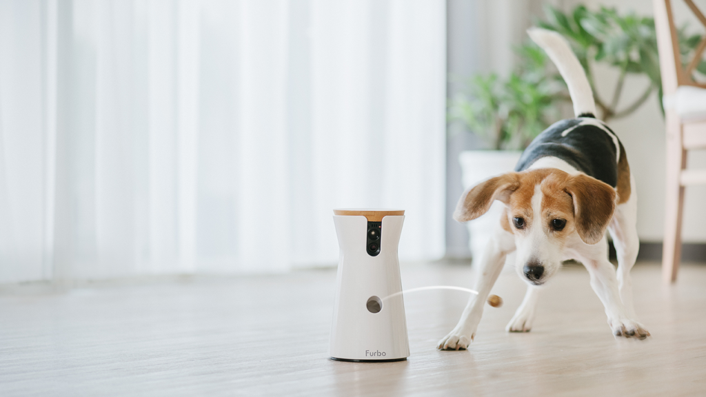 furbo smart pet feeder camera with a beagle dog