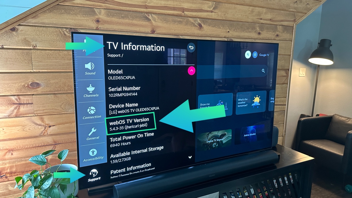 lg tv tv information