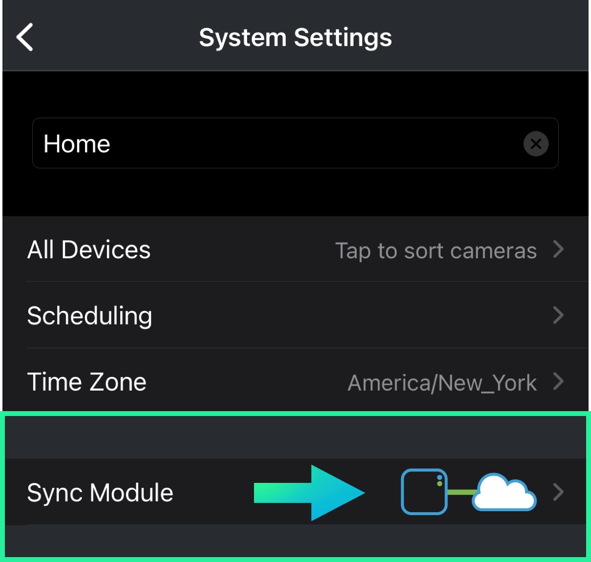 Blink - select the sync module