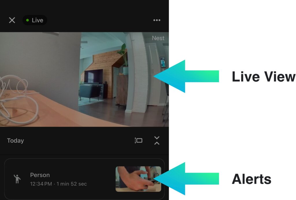 Nest camera live view and alerts