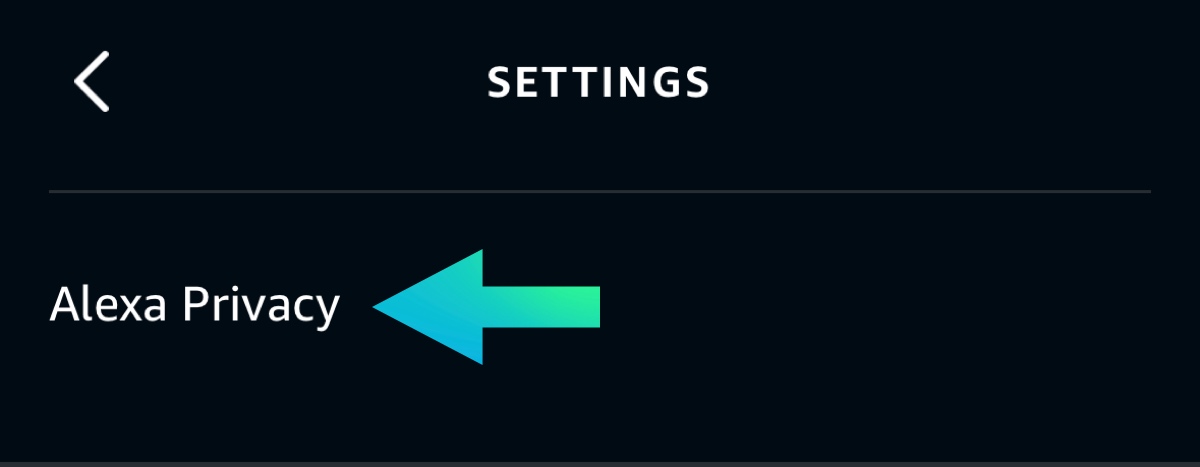 Alexa Privacy
