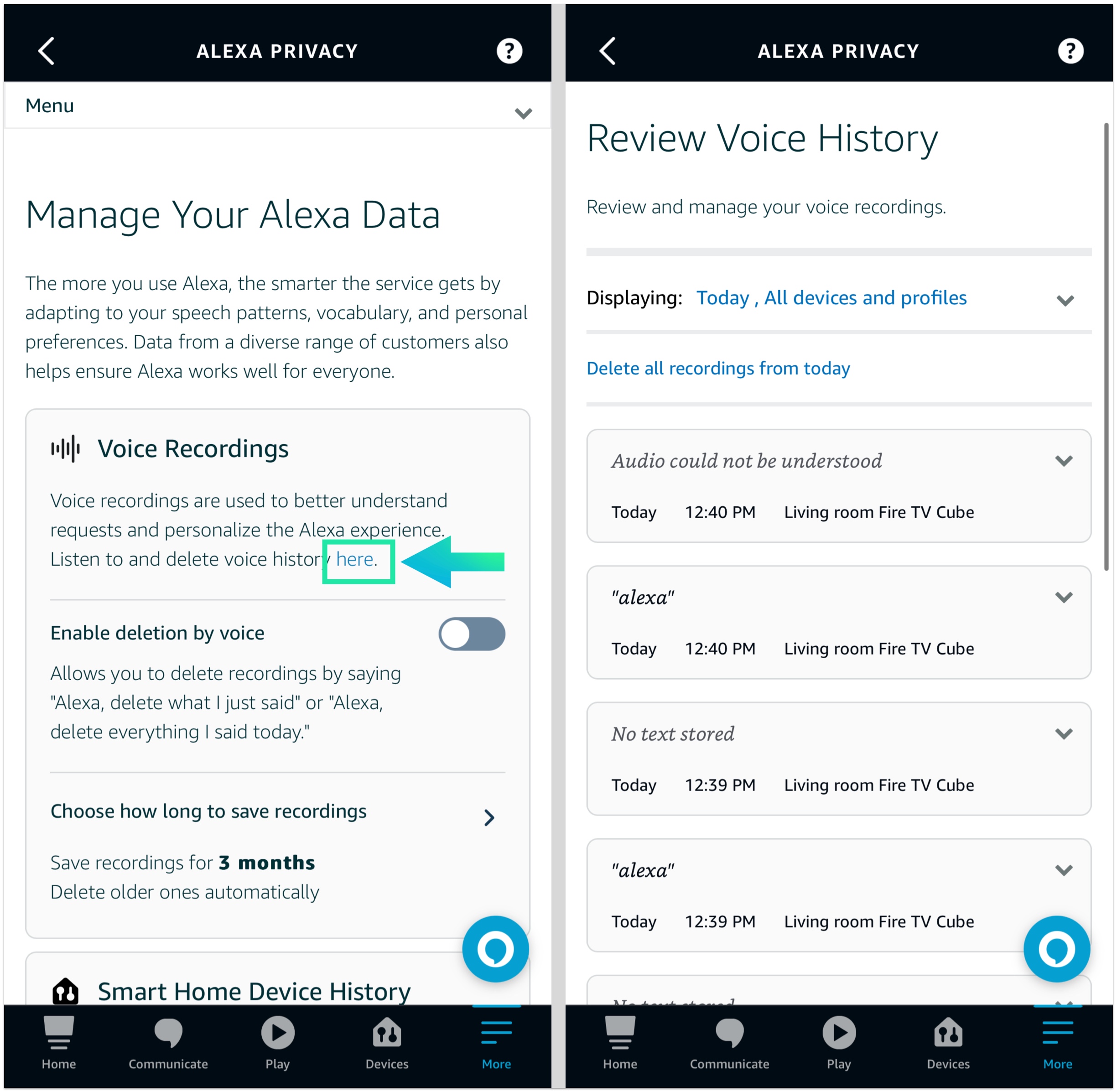 REVIEW VOICE HISTORY