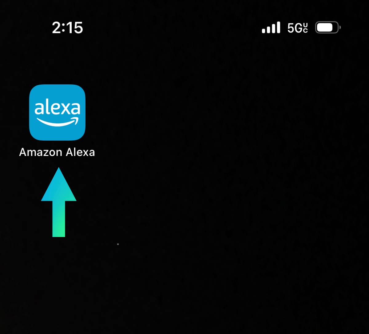 The Alexa app