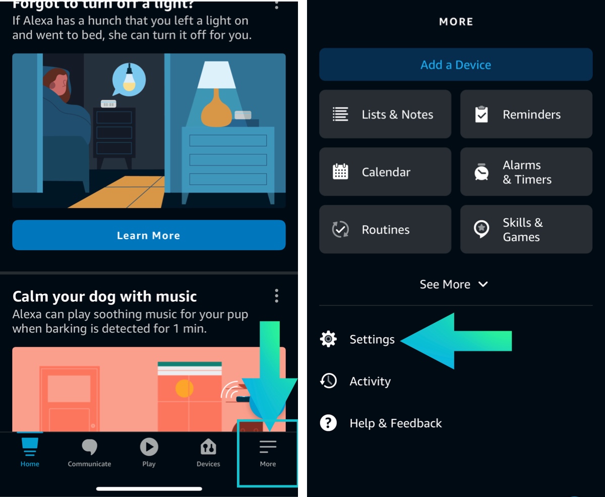 Select More then select settings in alexa app