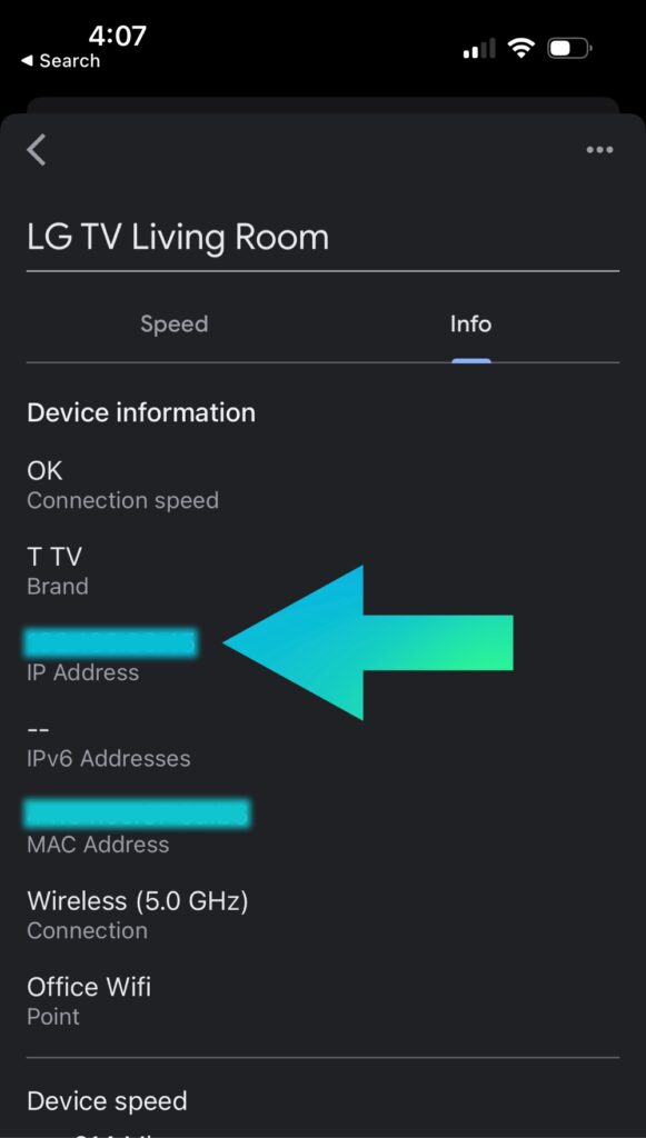 LG TV IP address in Google home app