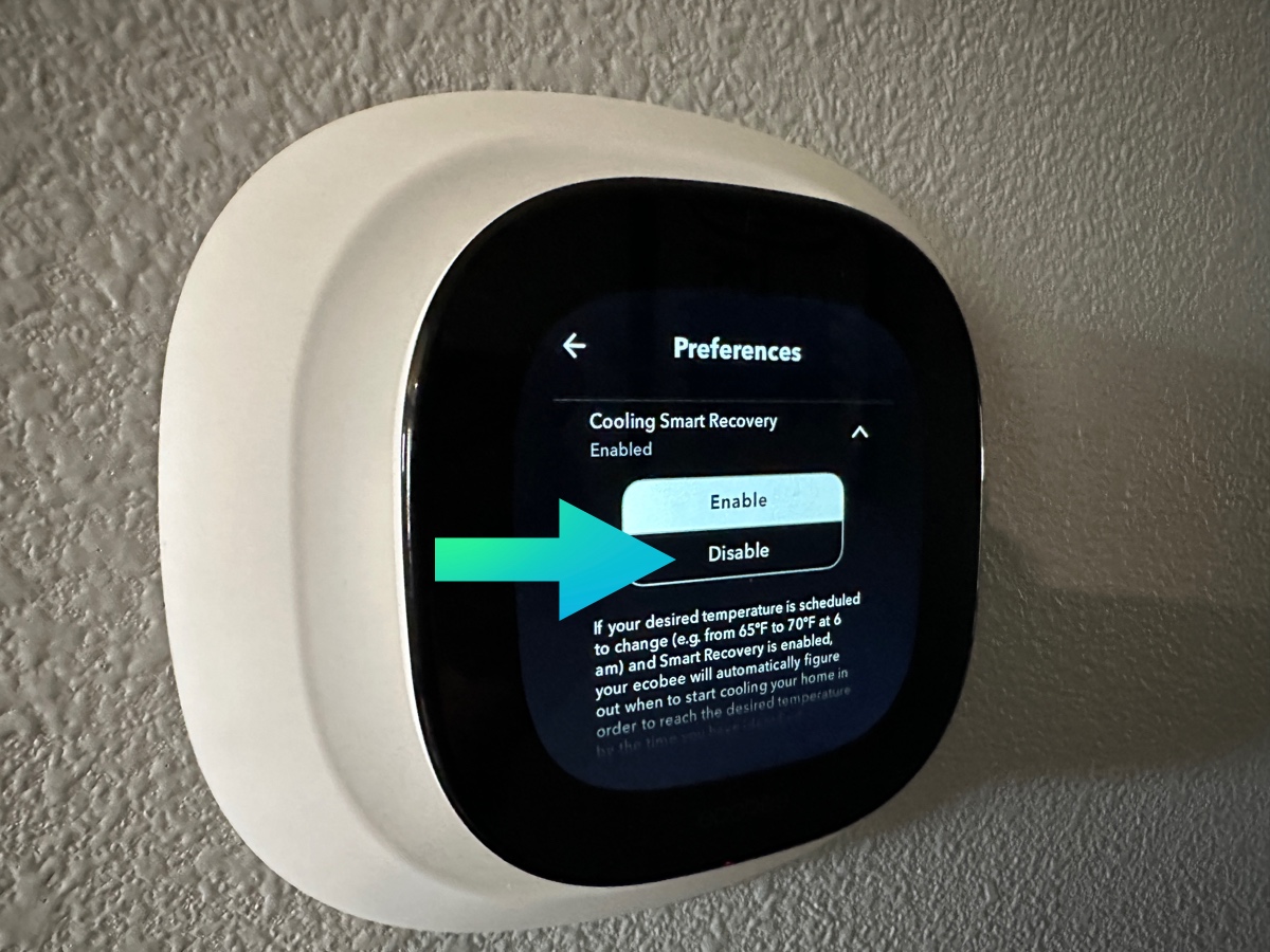 disable ecobee smart features