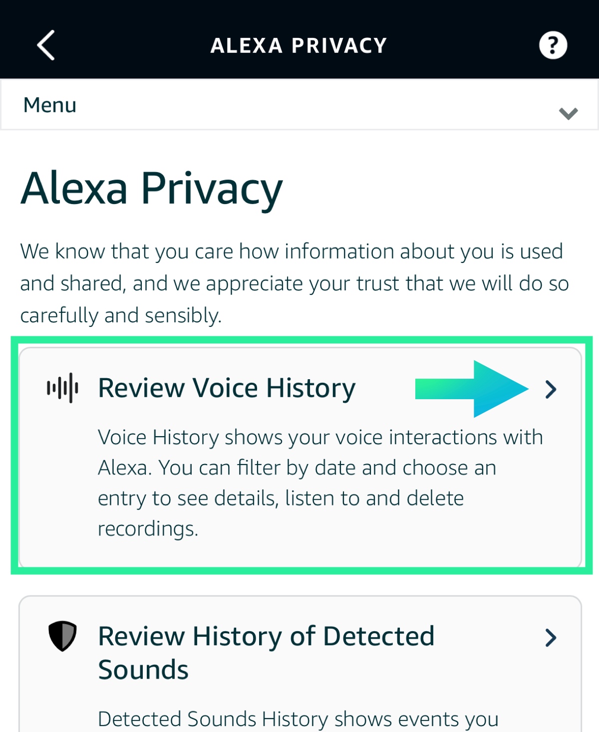 Alexa review voice history