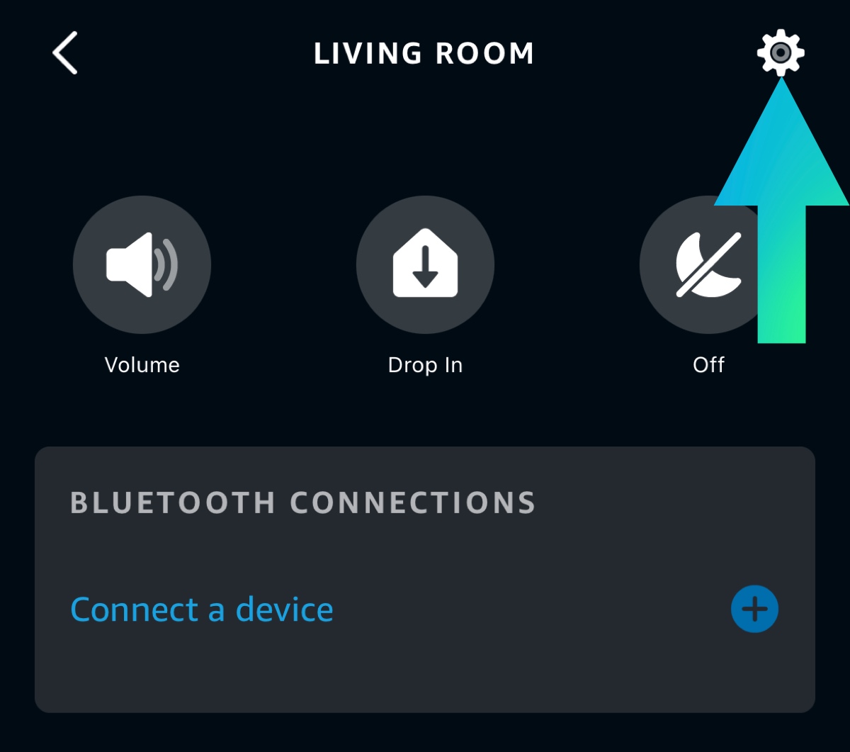 Echo device settings