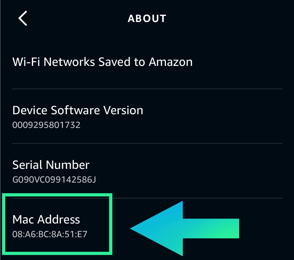 Echo dot mac address