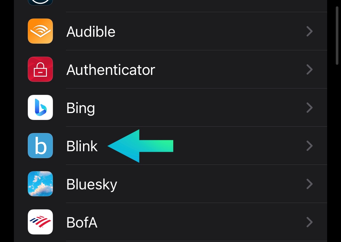 Blink in ios settings