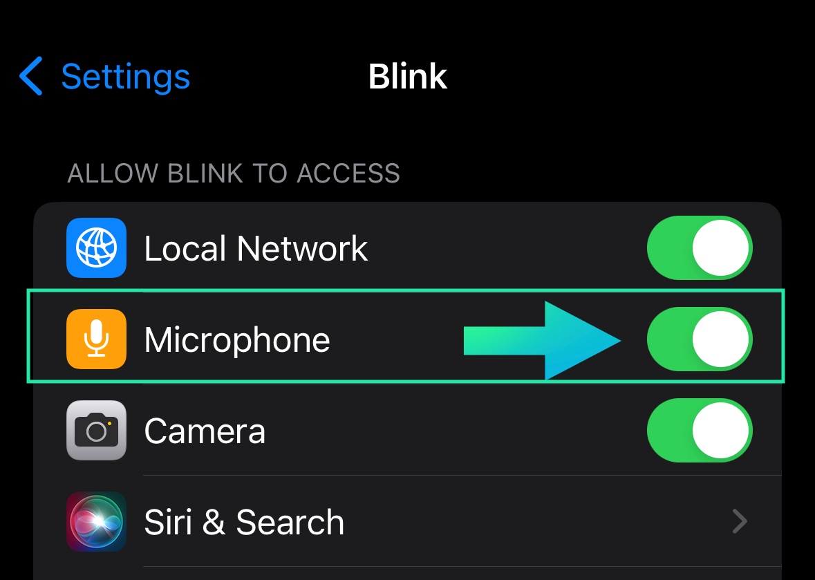 Blink microphone turned on in ios settings