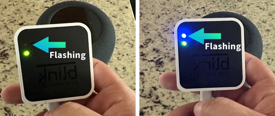 Blink sync module flashing after a reset