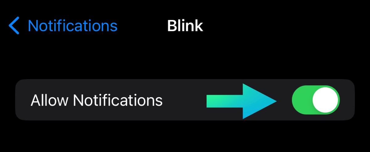 Allow Blink notifications on iphone