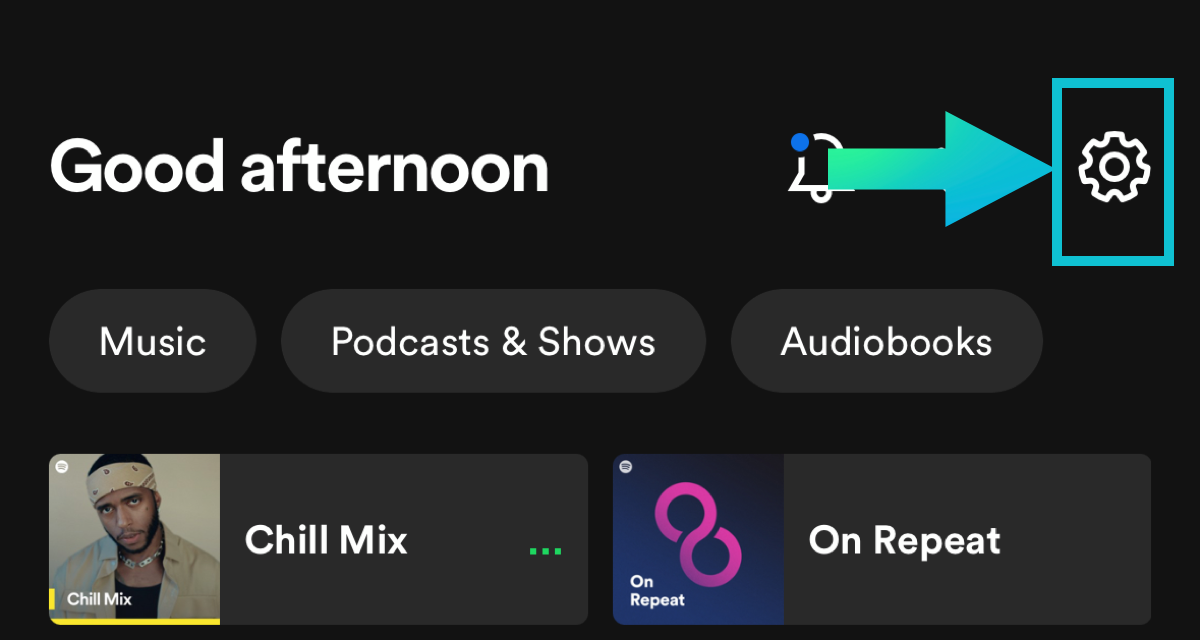 Settings icon in Spotify