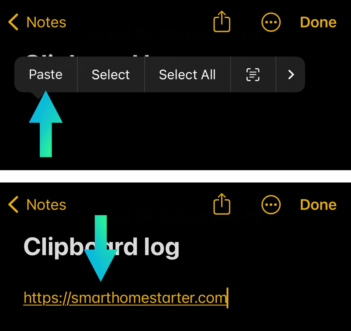 Link copied to the notes app