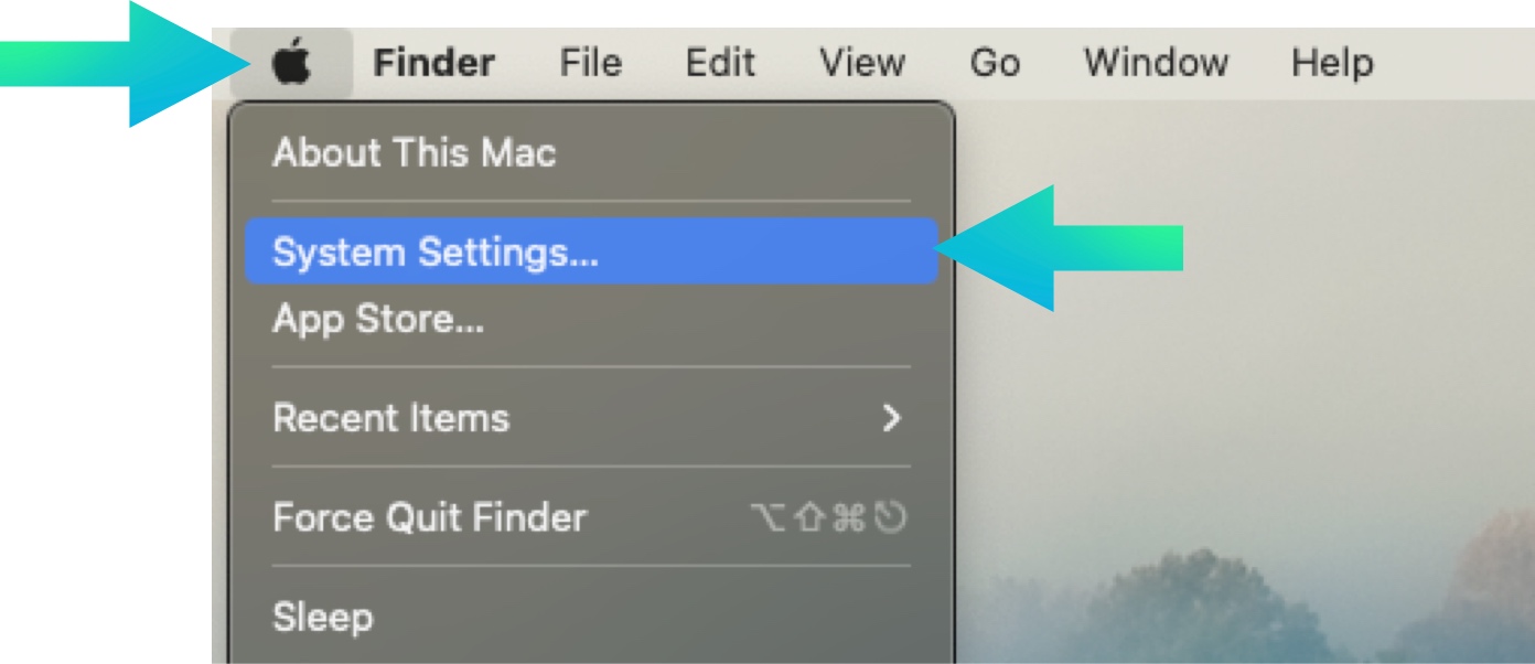 Apple settings on mac