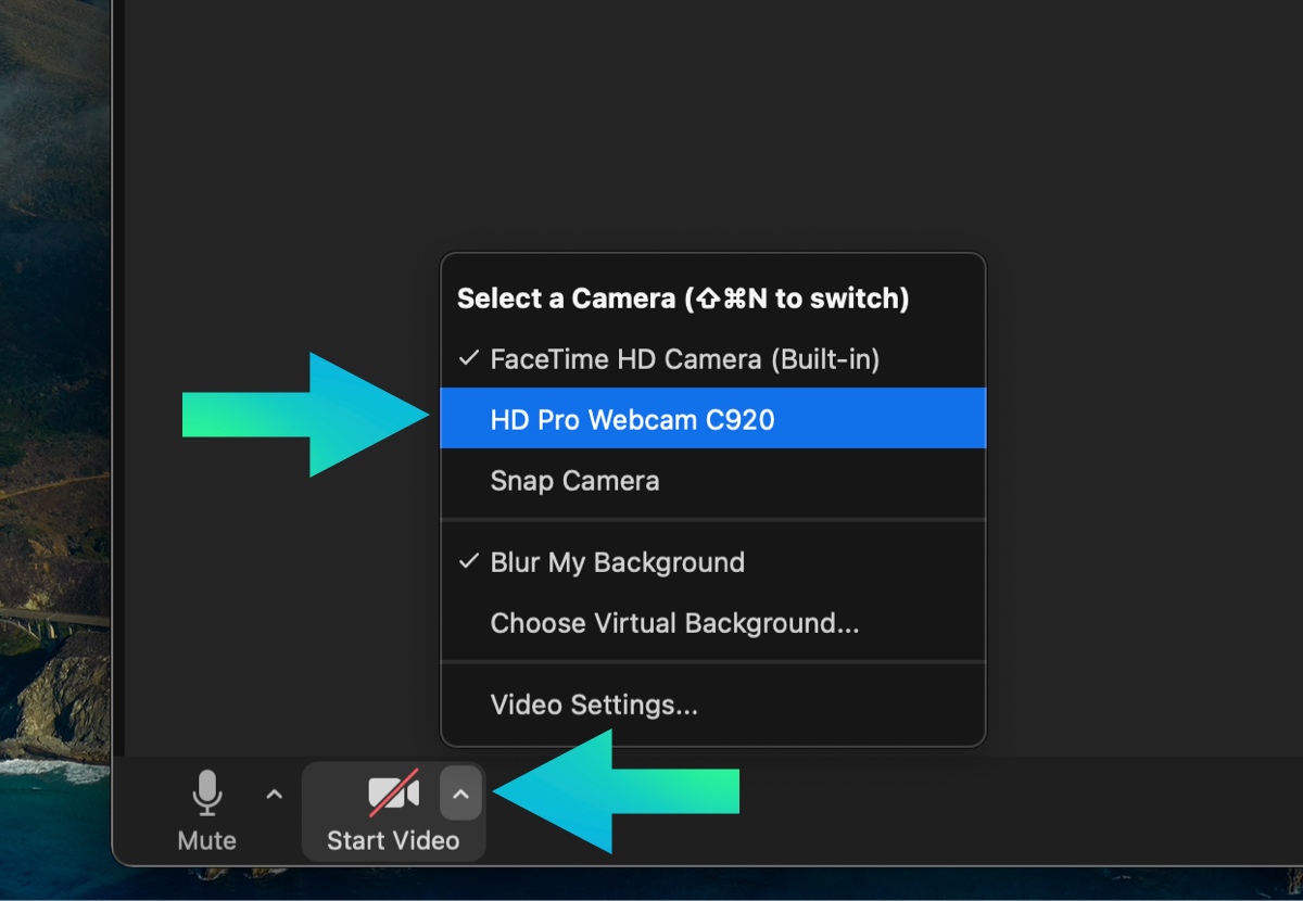 Switch Zoom to external webcam on mac