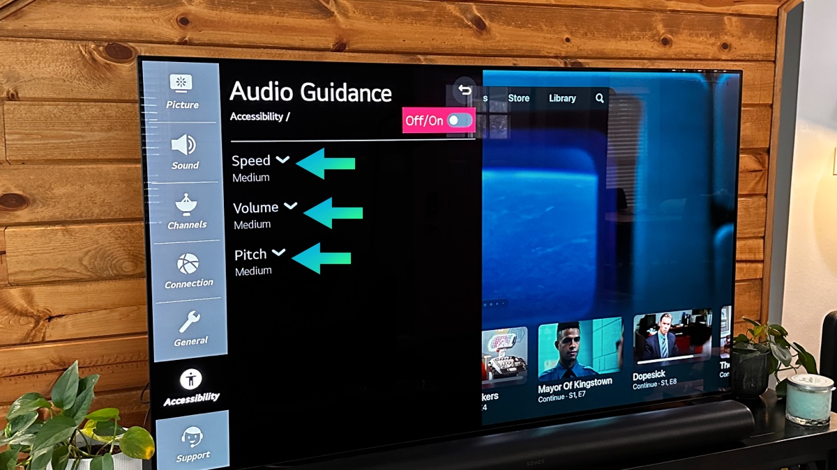 Adjust audio guidance on LG TV