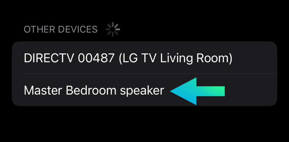 Google Nest Mini in bluetooth settings on iphone