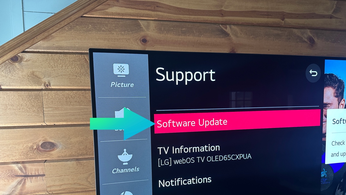 lg tv software update in support menu