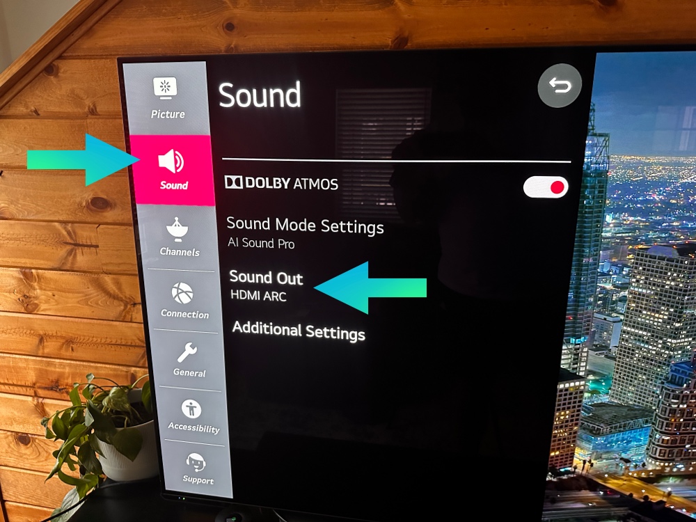 LG tv sound then sound out