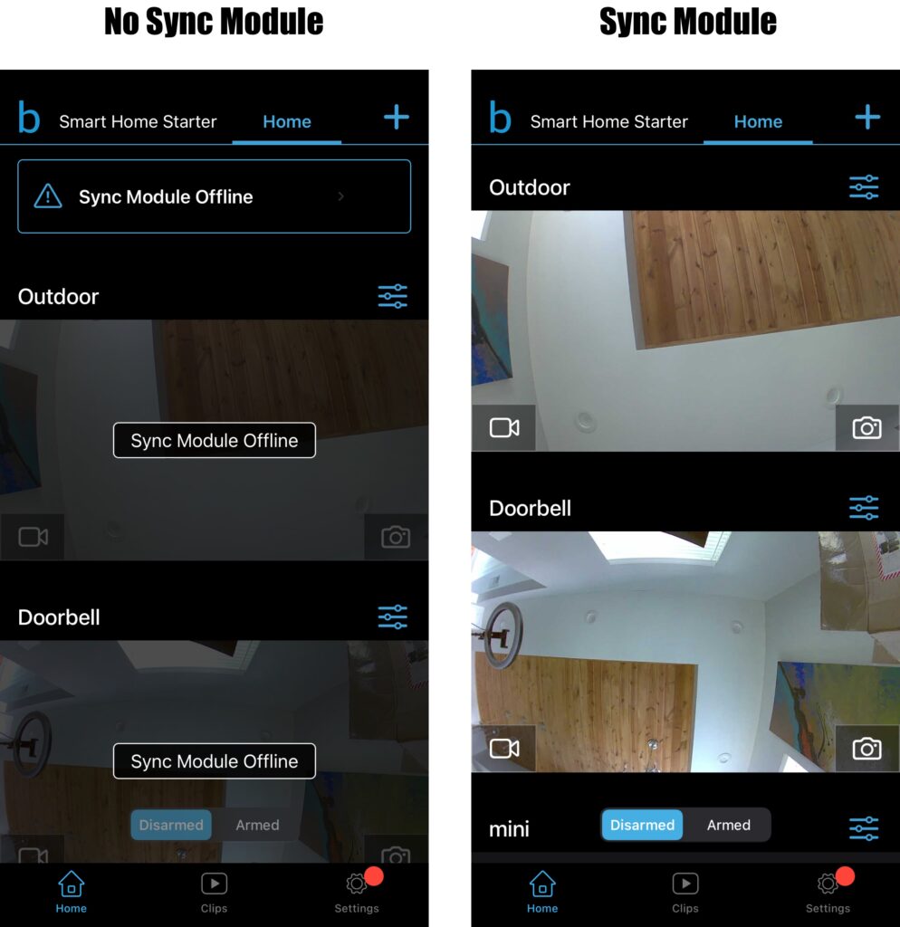 Blink app with sync module vs module