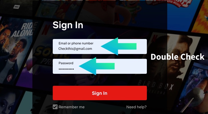 Check the netflix login details