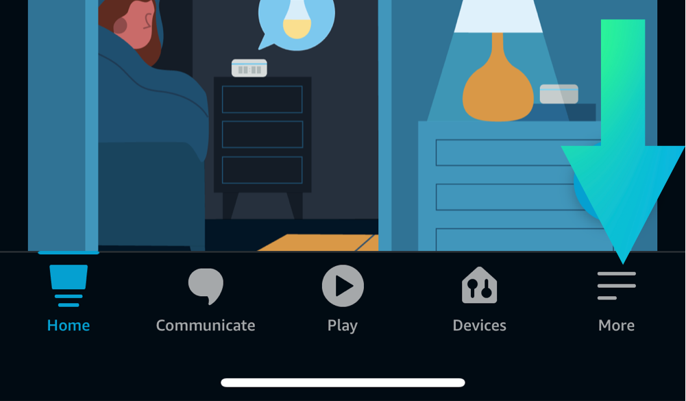 More menu in alexa app