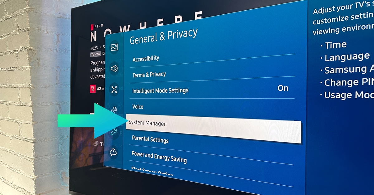 Samsung tv system manager