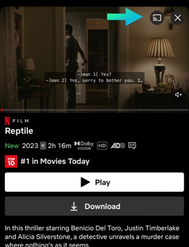 Netflix cast icon on iphone