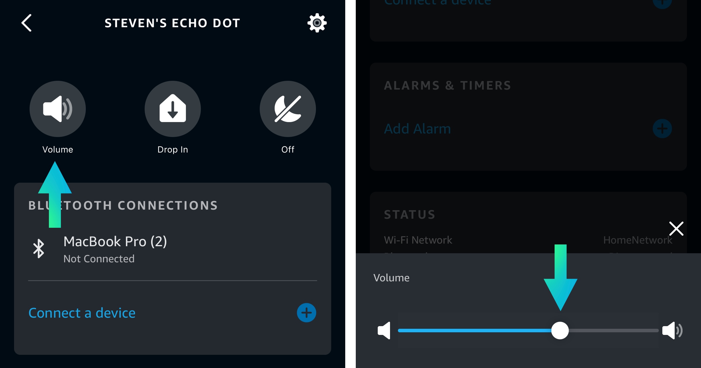 adjust echo volume from the alexa app