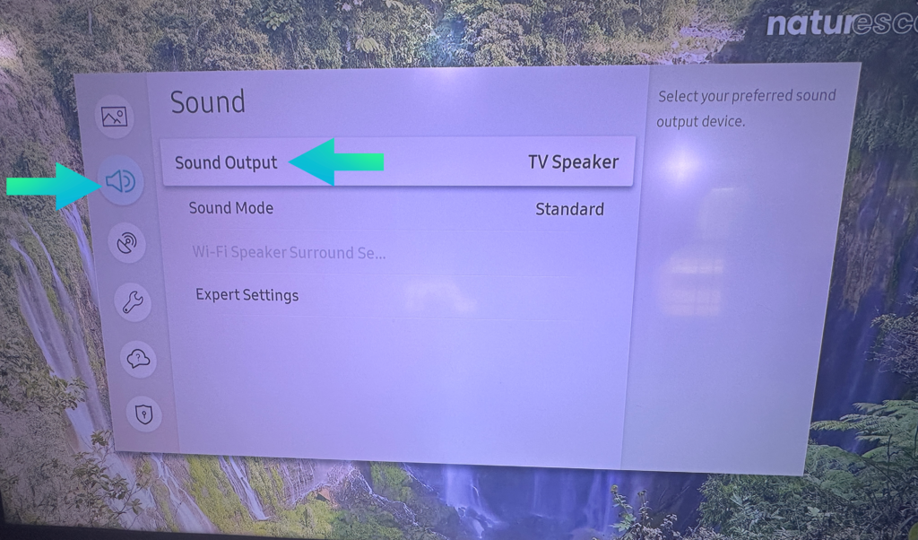 Samsung TV sound ouput