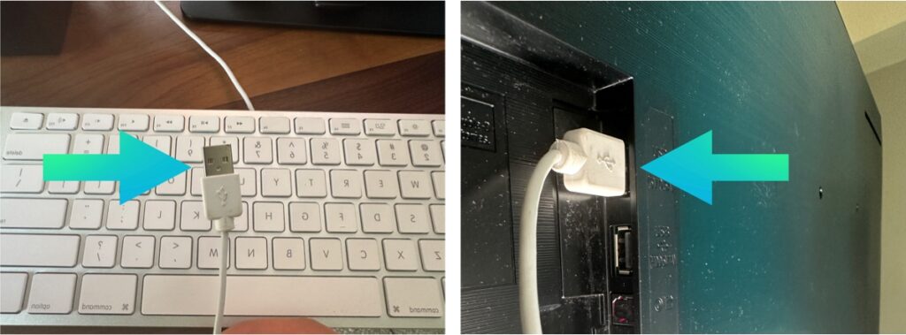 USB keyboard and plugging it into the TV