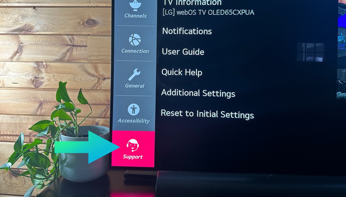 lg tv support menu