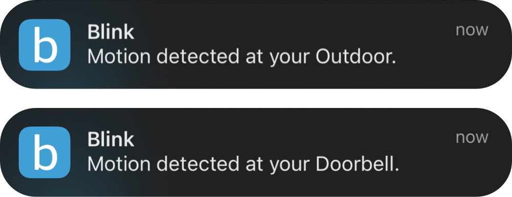 Blink Motion detection alerts