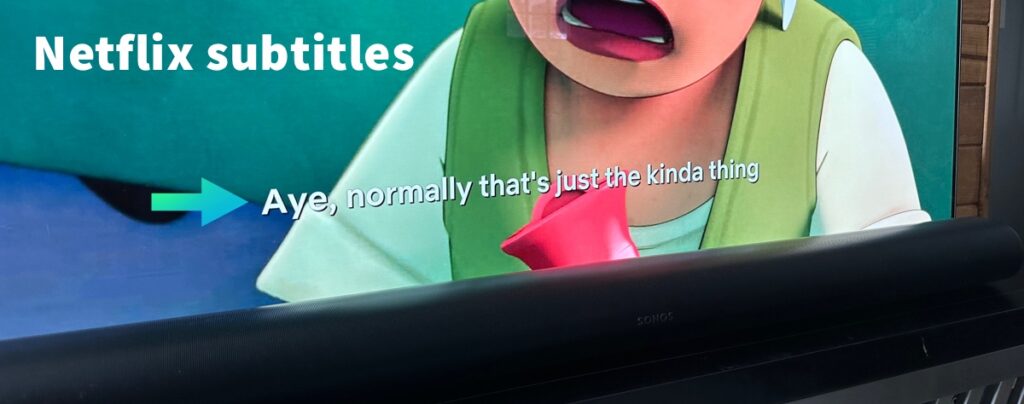 Netflix subtitles