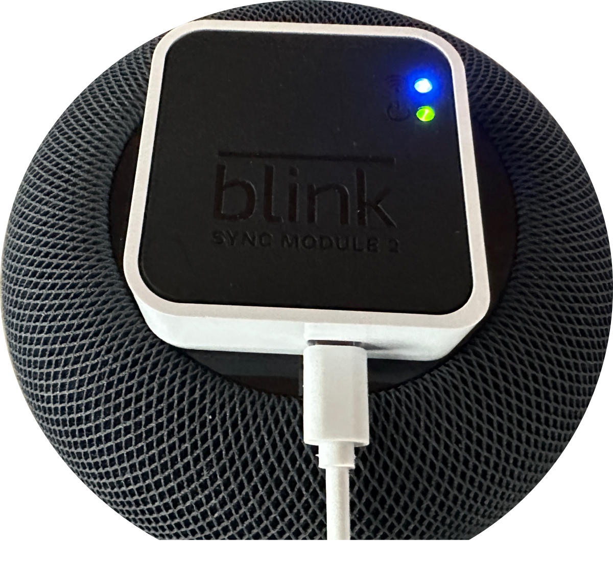 Blink Sync module with the green and blue lights on