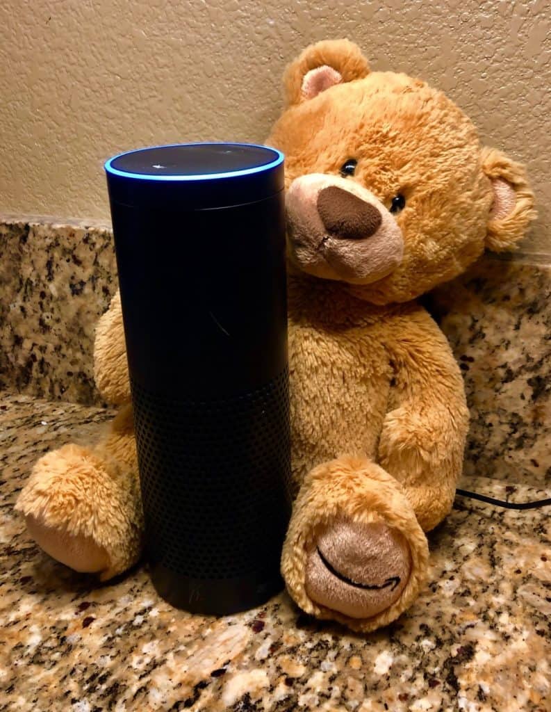 Alexa Speaker with Teddy bear