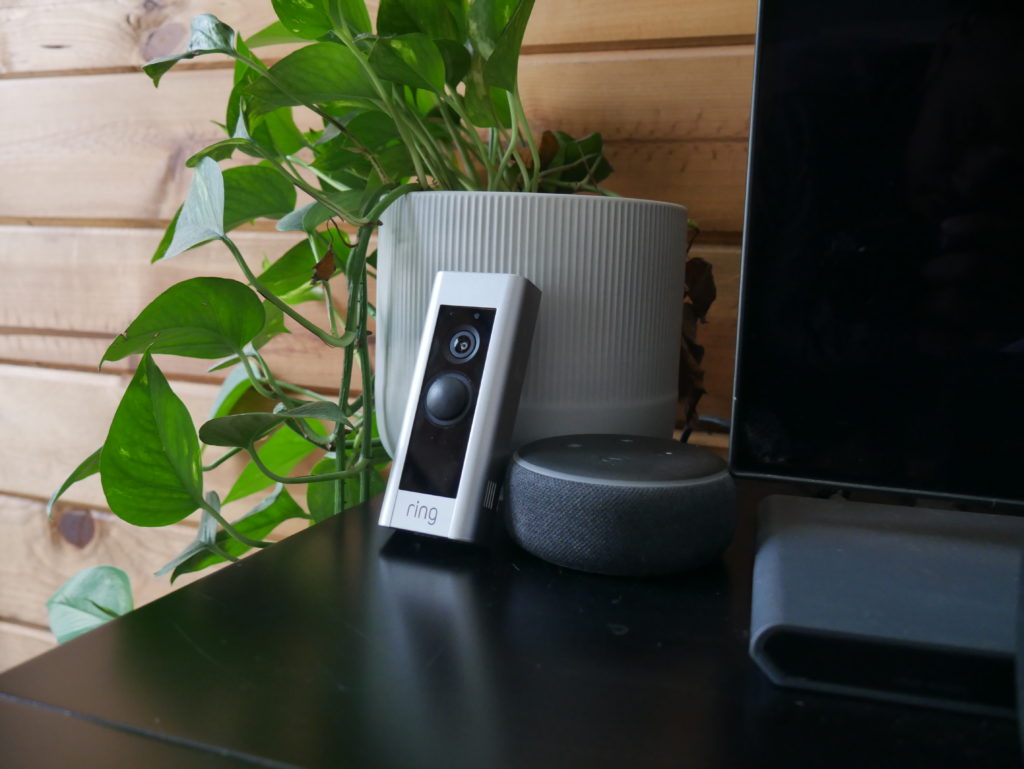 ring doorbell propped up on plant