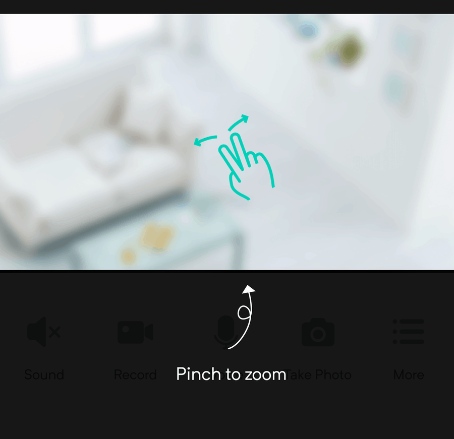 Wyze - Pinch Zoom