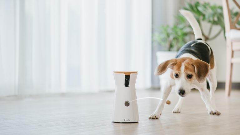 furbo smart pet feeder camera with a beagle dog