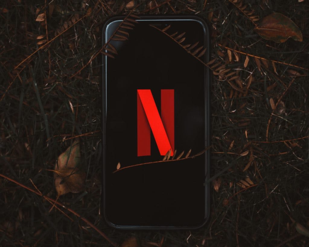 netflix logo on phone